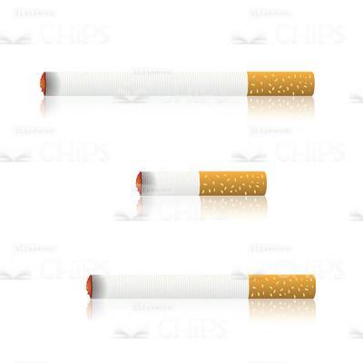 Different Length Burning Cigarettes Set Vector Image-0
