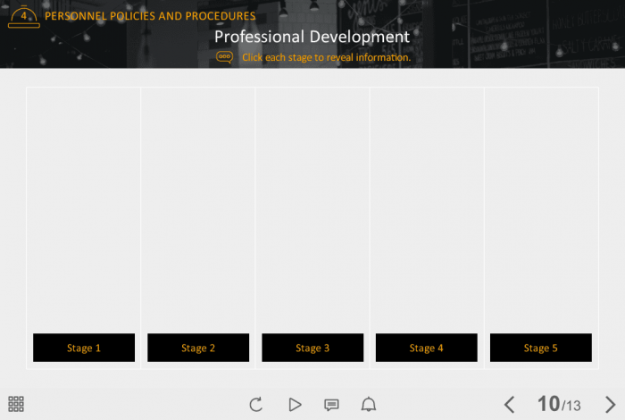 Professional Development Stages — Storyline Template-0