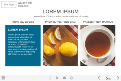 Grid Images — Adobe Captivate eLearning Template