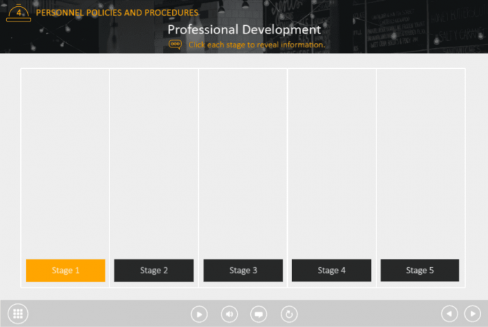 Professional Development Stages — Captivate Template-44596