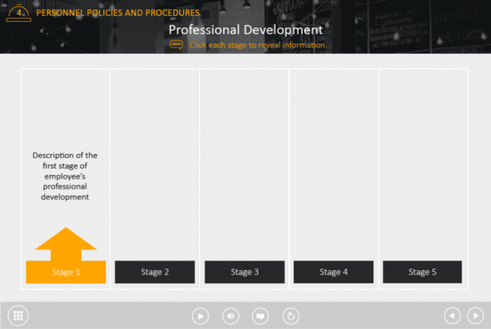 Professional Development Stages — Captivate Template-44597