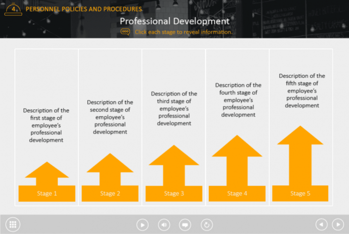 Professional Development Stages — Captivate Template-44598
