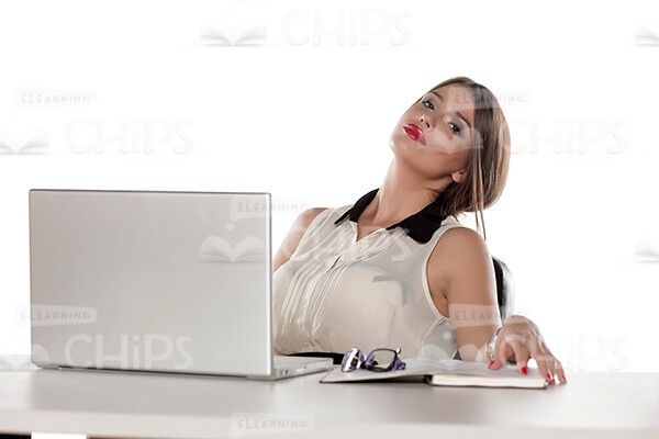 Businesswoman Working With Laptop Stock Photo Pack-31882