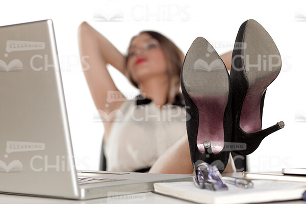 Businesswoman Working With Laptop Stock Photo Pack-31895