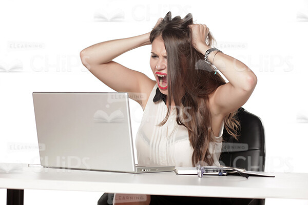 Businesswoman Working With Laptop Stock Photo Pack-31914