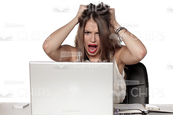 Businesswoman Working With Laptop Stock Photo Pack-31917