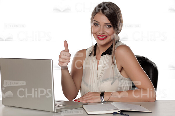 Businesswoman Working With Laptop Stock Photo Pack-31924