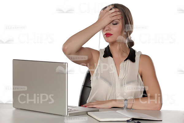 Businesswoman Working With Laptop Stock Photo Pack-31927