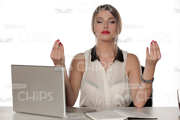 Businesswoman Working With Laptop Stock Photo Pack-31931
