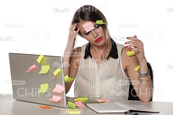 Businesswoman Working With Laptop Stock Photo Pack-31934