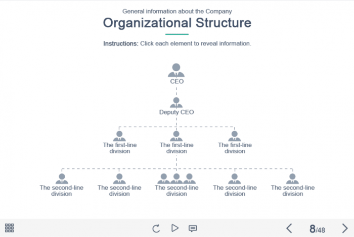Company Structure Slide — eLearning Captivate Course Player