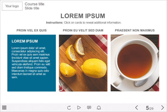 Grid Images — Articulate Storyline eLearning Template