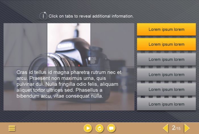 Tabbed Slide — Download Lectora Template for eLearning