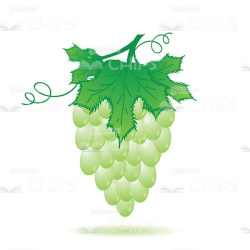 Bunch of Grapes Vector Image-0