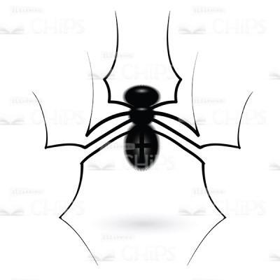 Spider Vector Illustration-0