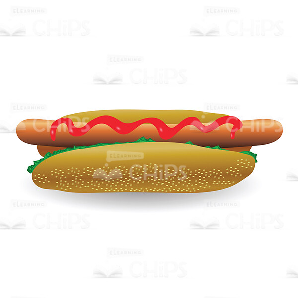 Hot Dog Vector Image-0