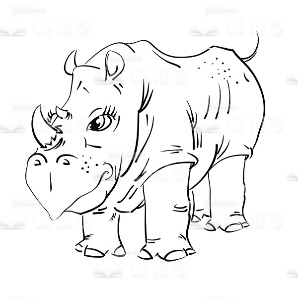 Hand-Drawn Rhinoceros Vector Image-0