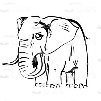 Hand-Drawn Elephant Vector Image-0