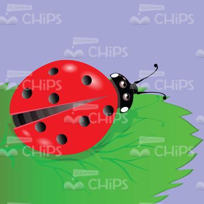 Ladybird Vector Image-0
