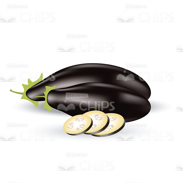 Eggplants Vector Illustration-0