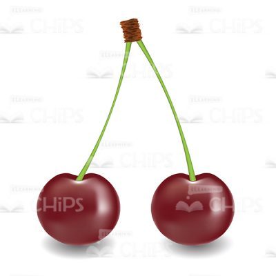 Cherry Bunch Vector Image-0