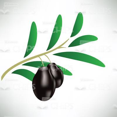 Black Olives on Branch Vector Image-0