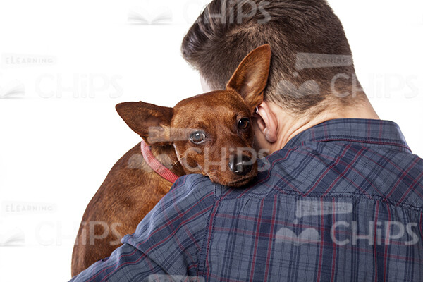 Handsome Young Man Playing With Dog Stock Photo Pack-32081