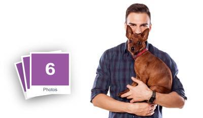 Handsome Young Man Playing With Dog Stock Photo Pack-0