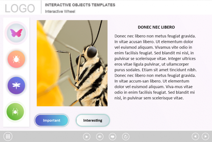 Slide With Tabs And Buttons — Lectora e-Learning Templates