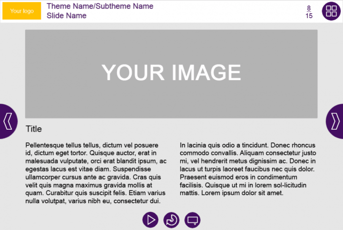 Text / Image Slide — Captivate Course Player