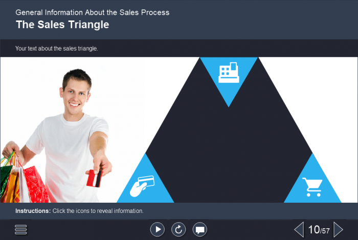 Effective Sales Course Starter Template — Trivantis Lectora-46927