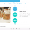 Vertical Timeline — Captivate Template-47565