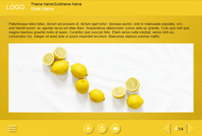 Text + Image Slide — Lectora eLearning Template