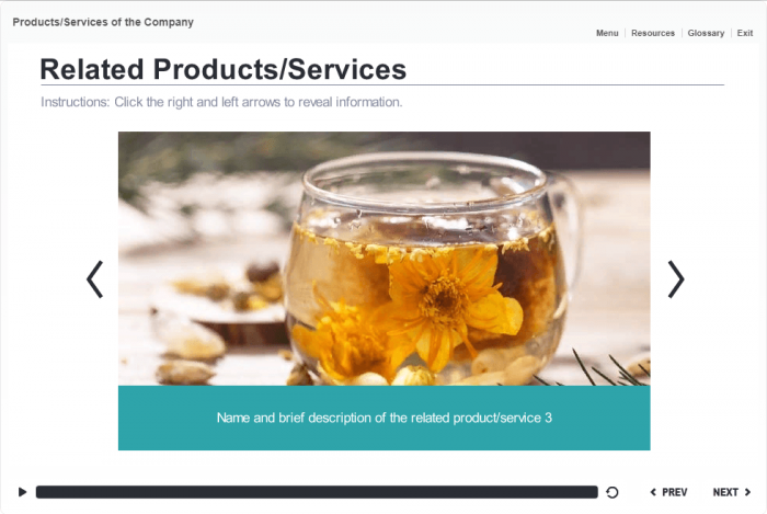 Related Products / Services Slideshow — Storyline Template-47930