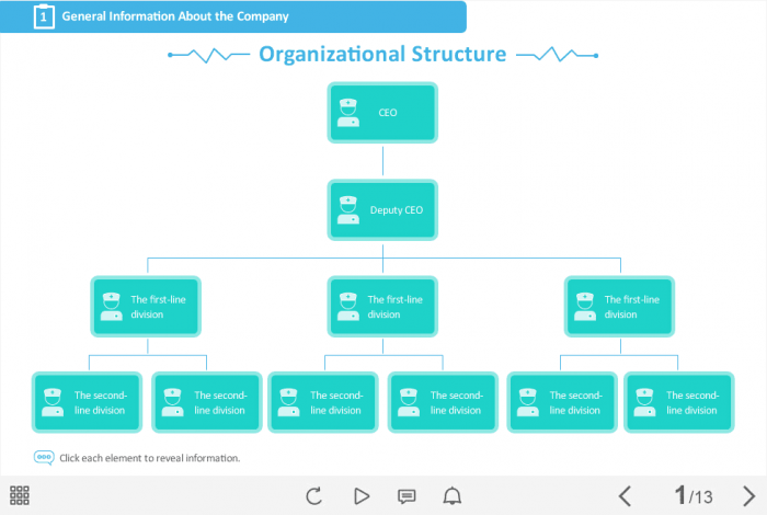 Medical Institution Organizational Structure — Storyline Template-0