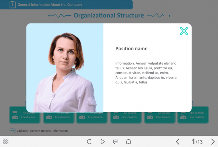Medical Institution Organizational Structure — Storyline Template-46640
