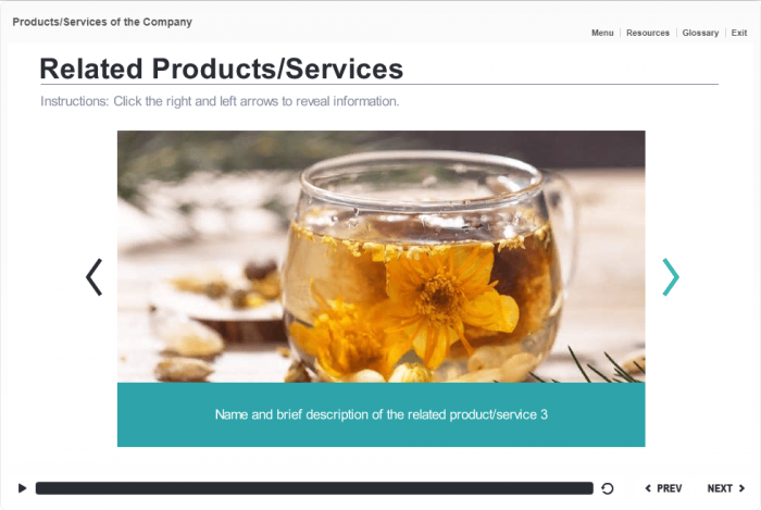 Company`s Products / Services Course Starter Template — Articulate Storyline-47827