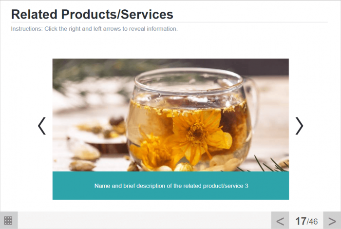 Company`s Products / Services Course Starter Template — iSpring Suite-48260
