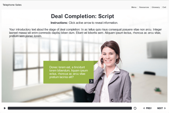 Young Business Woman Talking on Phone — Download Articulate Storyline Templates