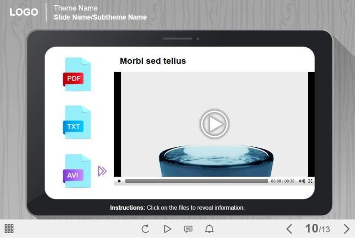 Slide with Video — eLearning Trivantis Lectora Templates