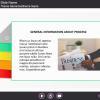 Light Grey Background — Download eLearning Storyline Templates