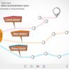 Three Paths With Markers — Storyline 3 Template-0
