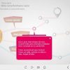 Pop-up Window — Articulate Storyline 3 Template
