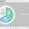 Grey Background — Articulate Storyline Template