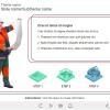 Four Clickable Buttons — eLearning Trivantis Lectora Templates