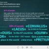 Click on Words — eLearning Lectora Templates
