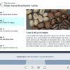 Course Information — eLearning Adobe Captivate Templates