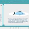 7-position Slides — Download Storyline Templates