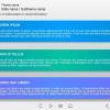 Colorful Cards — Adobe Captivate Template