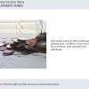 Slideshow Sample — Download Lectora Inspire Templates